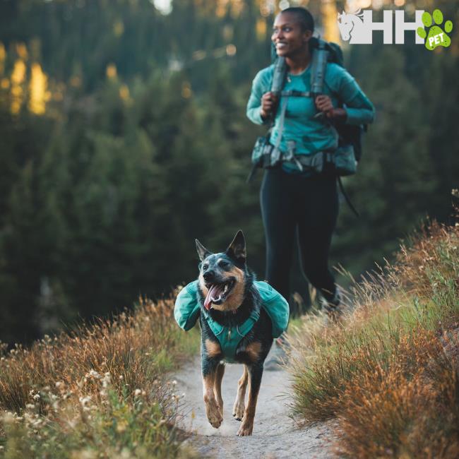 Ruffwear Front Range