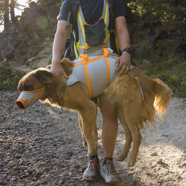 Ruffwear Kit Evacuacion Backtrak Gray