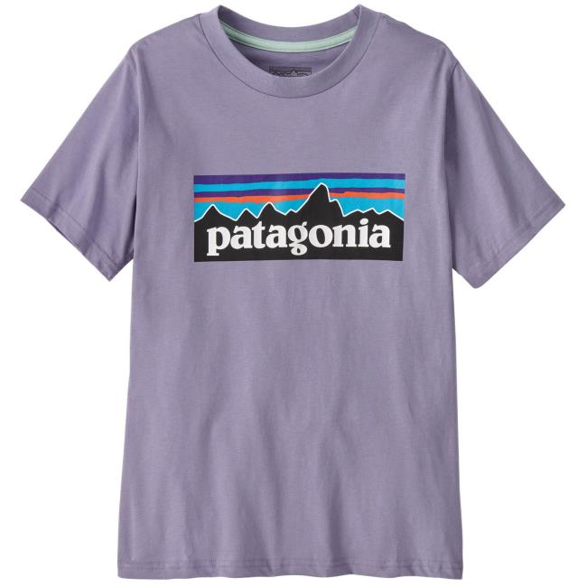 Camiseta patagonia Ks P-6 Logo T