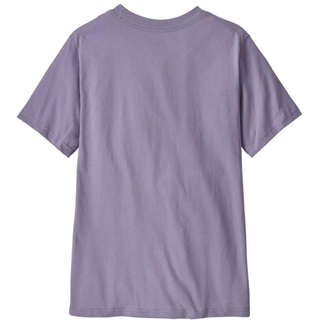 Camiseta patagonia Ks P-6 Logo T