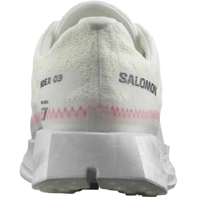 Salomon Index 03