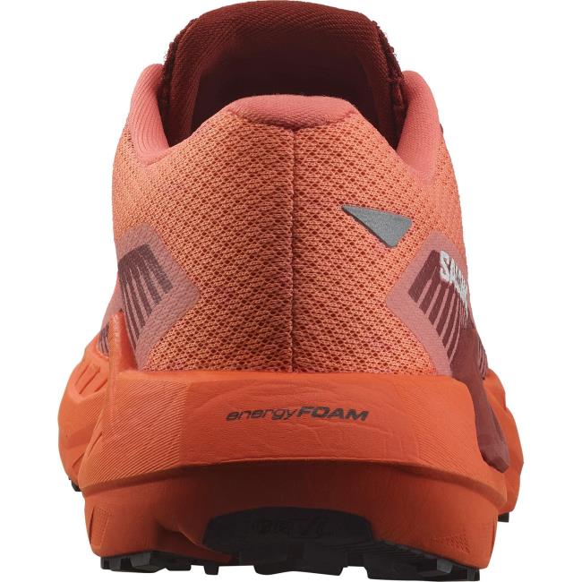 Turistická obuv salomon DRX DEFY GRVL W
