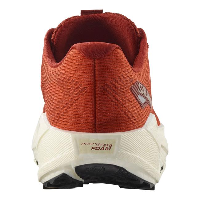 Tenisky salomon Blaze 3 GRVL