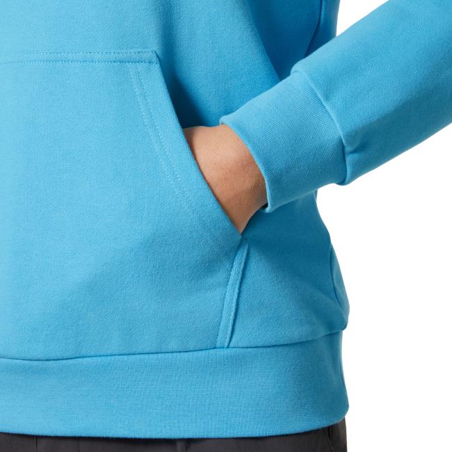 helly hansen Logo Hoodie 2.0