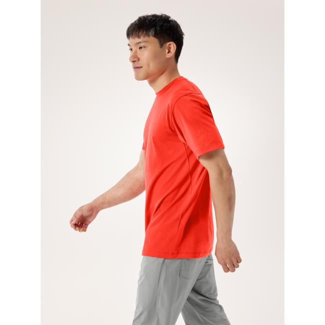 Arc'teryx Kragg Sl Cotton Bird Word Ss