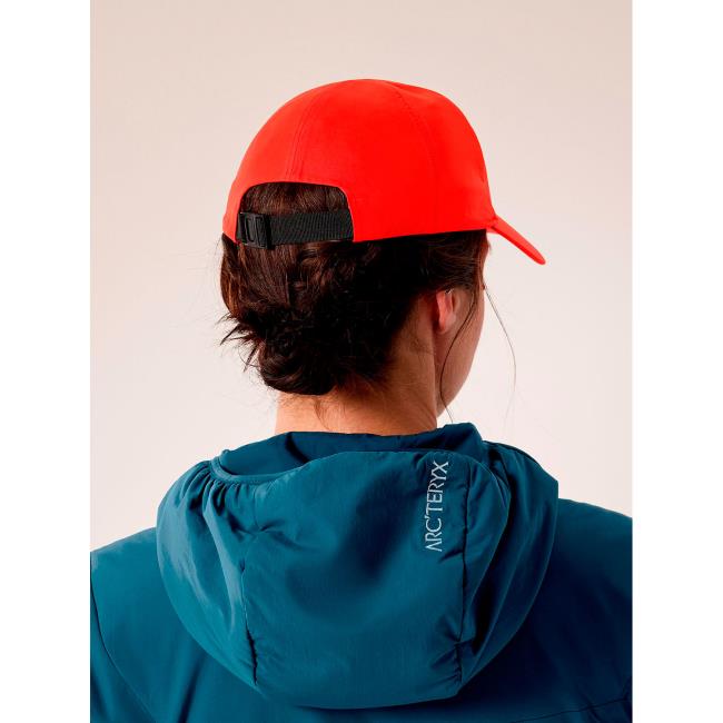 Arc'teryx Bird Word Cap Dynasty
