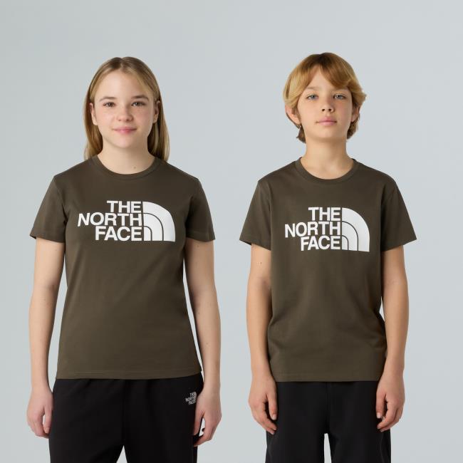 The North Face Teen Easy Ss Tee New Taupe Green