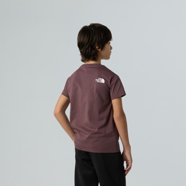 The North Face S/s Simple Dome Tee Teen