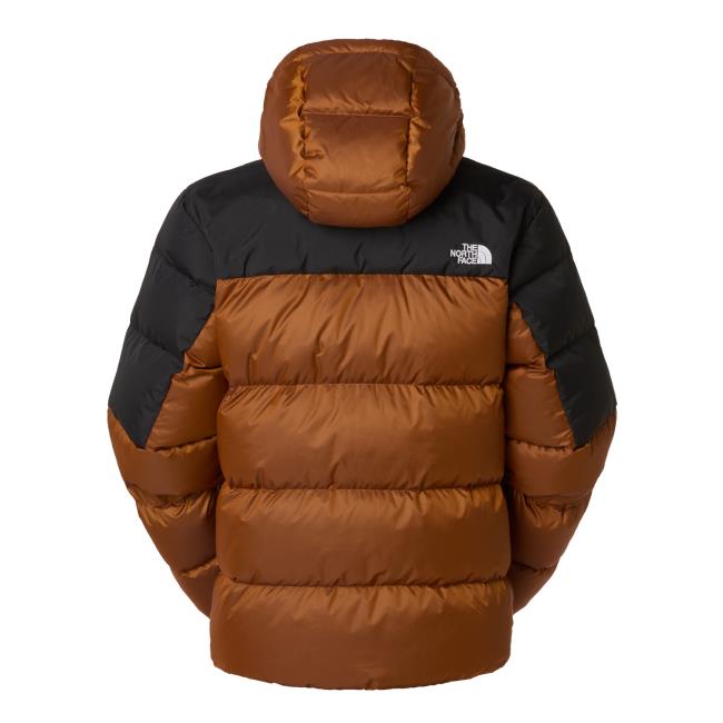 The North Face Diablo Down Hoodie
