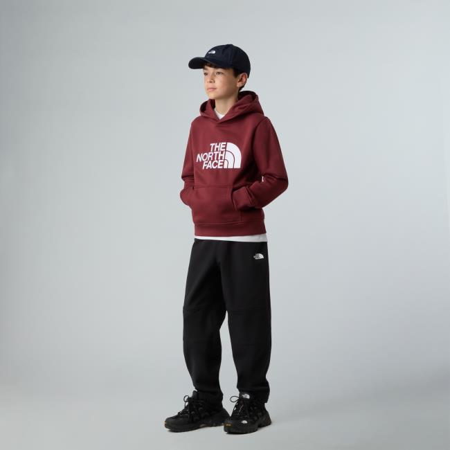 The North Face Teen Drew Peak Po Ho Sumac