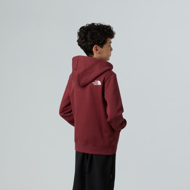 The North Face Teen Drew Peak Po Ho Sumac
