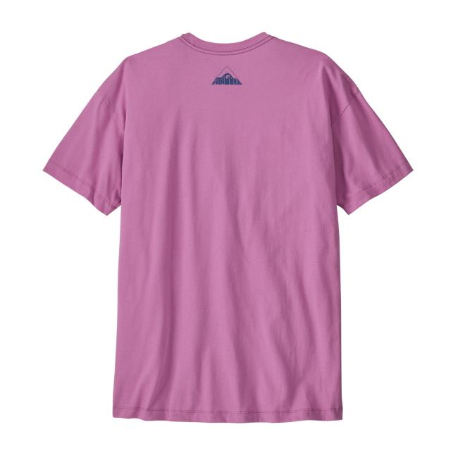 Patagonia Ws Oversized Driftways Org T-shirt Brisk