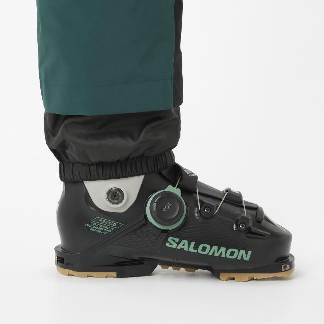 Salomon Brilliant Pant W