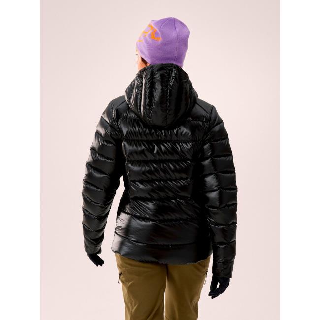 Chaqueta Arc'teryx Cerium Sv Hoody W