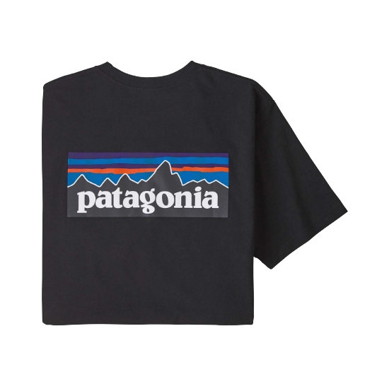 patagonia  P-6 Logo Respon Tee