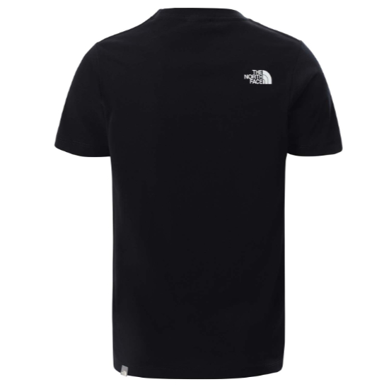 Camiseta the north face Graphic Tee Youth