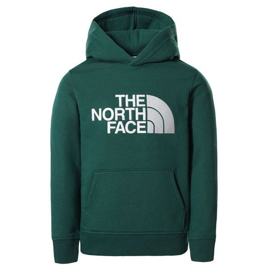 the north face Drew Peak Hoodie Youth