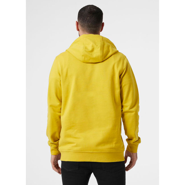  helly hansen HH BOX HOODIE Antique Moss