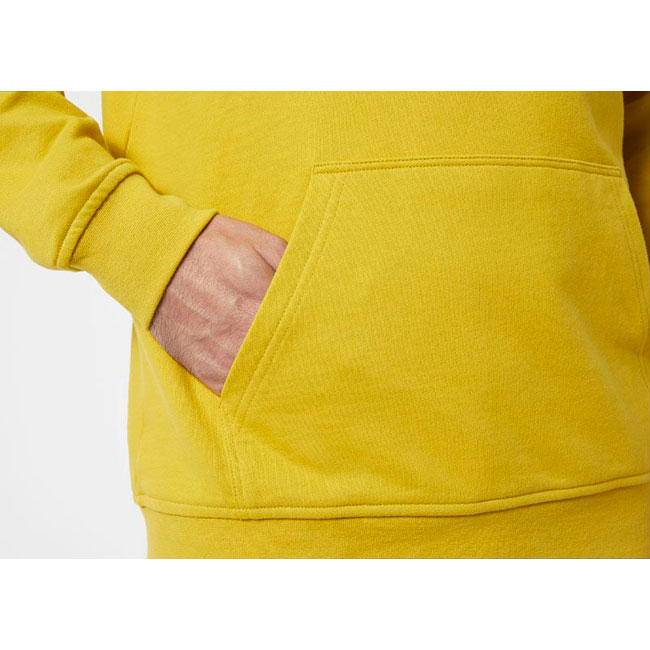  helly hansen HH BOX HOODIE Antique Moss
