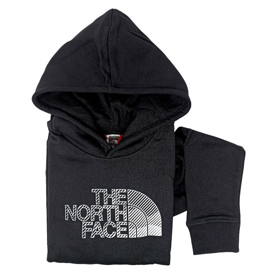  the north face Biner Graphic Hoodie Youth