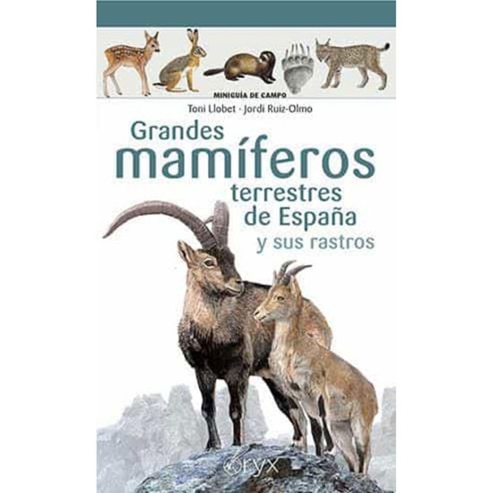  ed. lectio Grandes Mamiferos Terrestres de España
