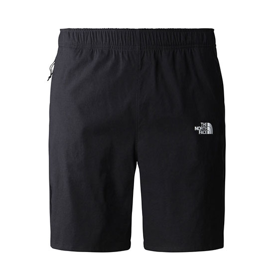  the north face Travel Shorts