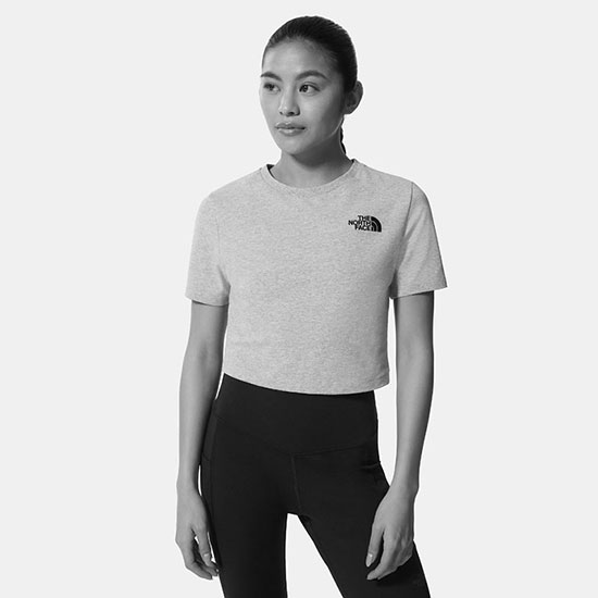 the north face  Crop Tee W