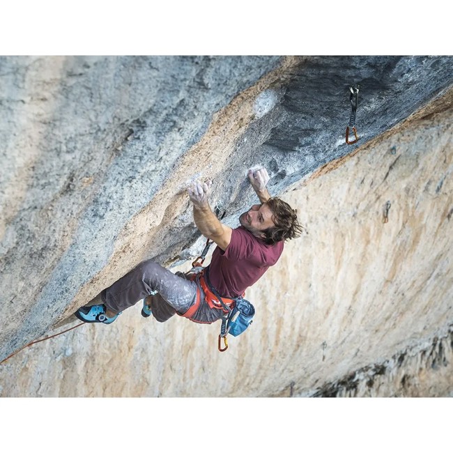 Pies De Gato Tenaya Mastia