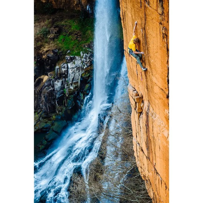 Pies De Gato Tenaya Mastia