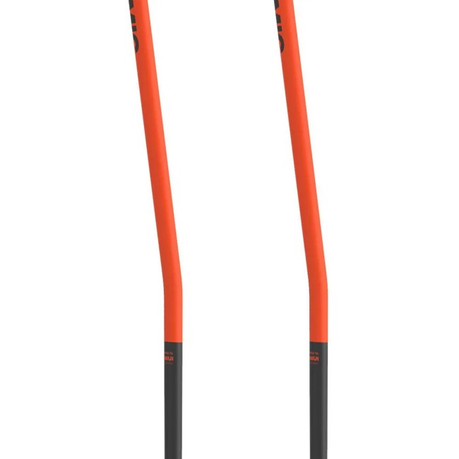 Sauvat atomic Redster GS JR