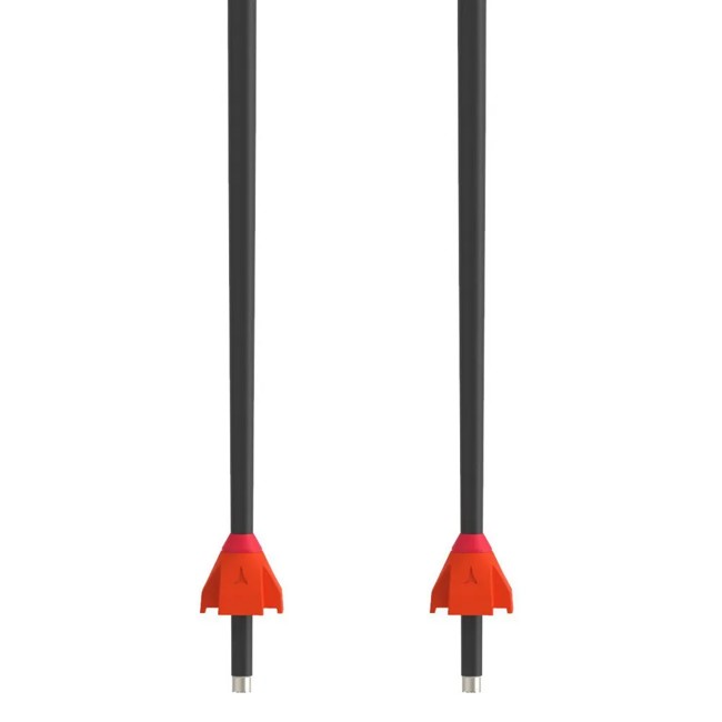 Sauvat atomic Redster GS JR