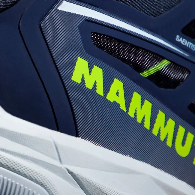 Sapatos de caminhada mammut Saentis Low GTX