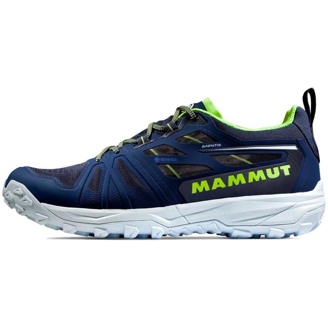 Sapatos de caminhada mammut Saentis Low GTX