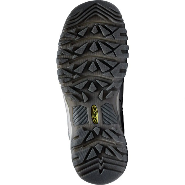 Boty Keen Targhee Iv Wp W Alloy-granite