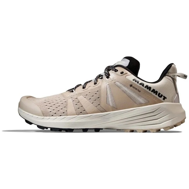 Scarpe mammut Saentis TR Low GTX