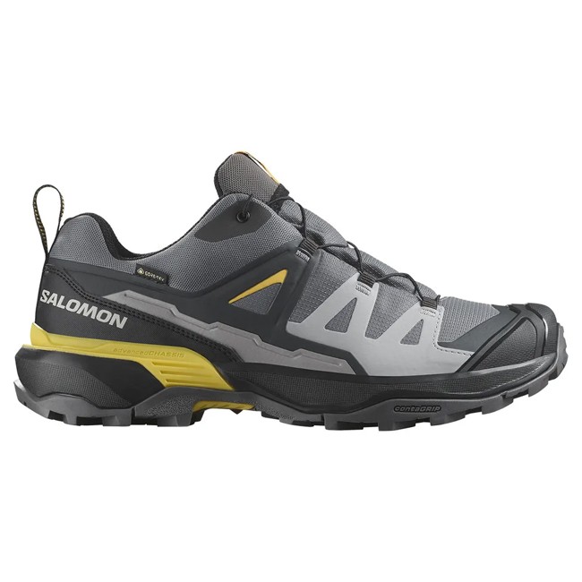 Salomon Hiking Shoes X Ultra 360 Gtx Clrock/black/spic