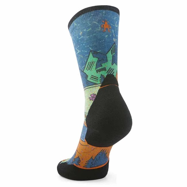 Chaussettes smartwool Trail Run Targ Cush Mount Twili