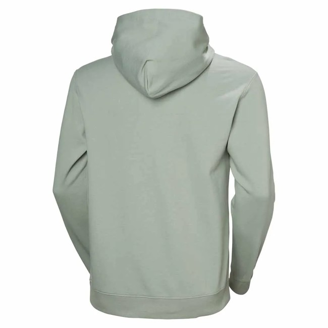 Sweatshirt helly hansen CORE GRAPHIC Eucalyptus