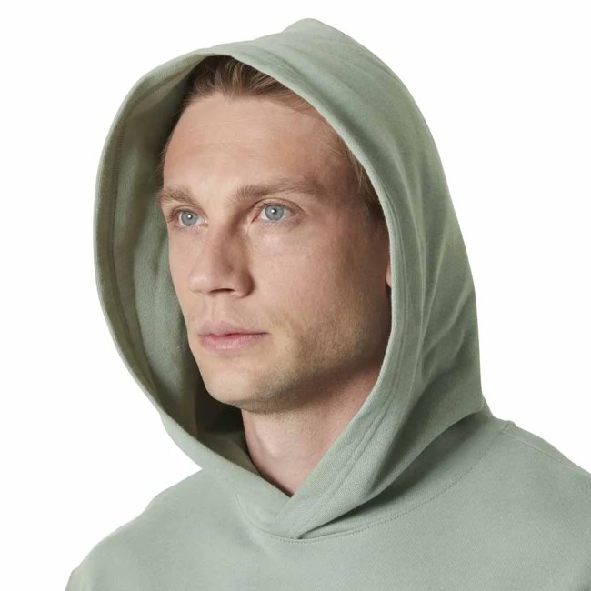 Sweatshirt helly hansen CORE GRAPHIC Eucalyptus
