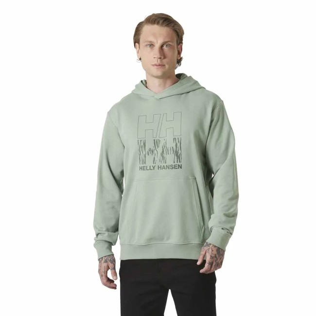 Sweatshirt helly hansen CORE GRAPHIC Eucalyptus