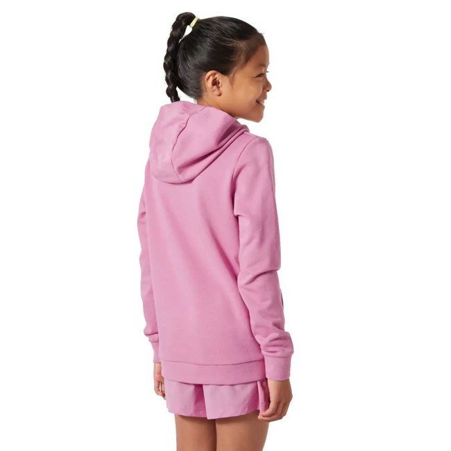 Mikina helly hansen GRAPHIC HOODIE