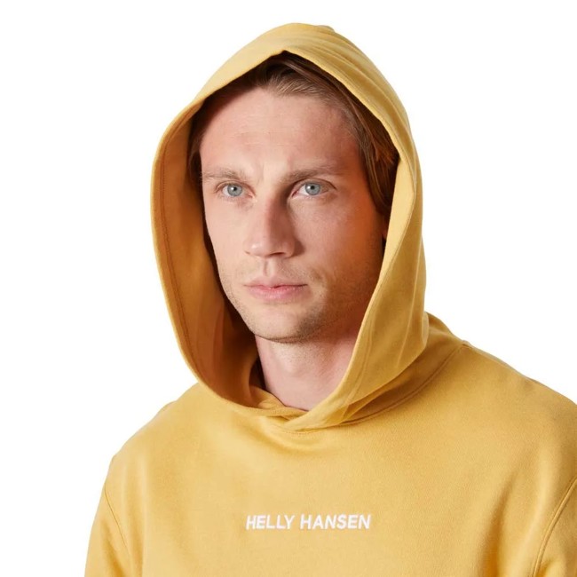 Sweatshirt helly hansen CORE HOODIE Sand