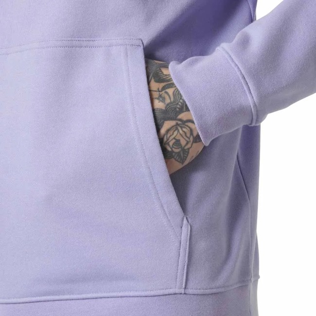 Sweatshirt helly hansen CORE GRAPHIC HOODIE Bright Lavende