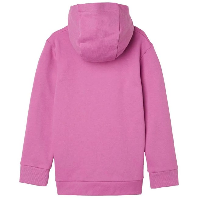 Mikina helly hansen GRAPHIC HOODIE Meta Pink