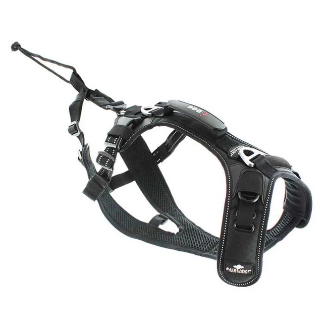 Harnas Raidlight I-dog