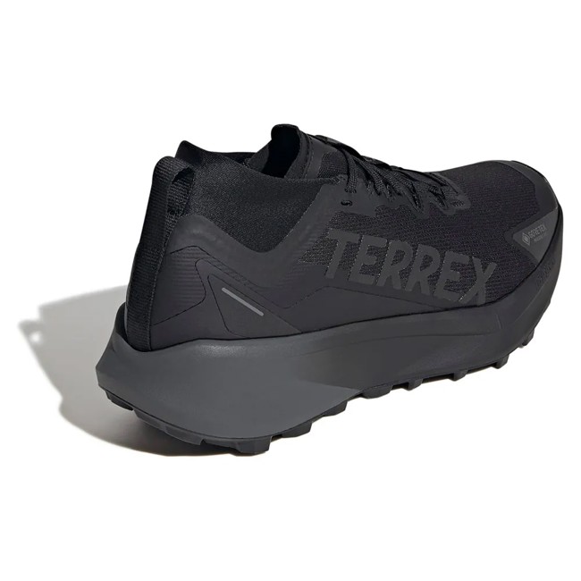 Sapatos De Caminhada Adidas Terrex Agravic Gtx Negro