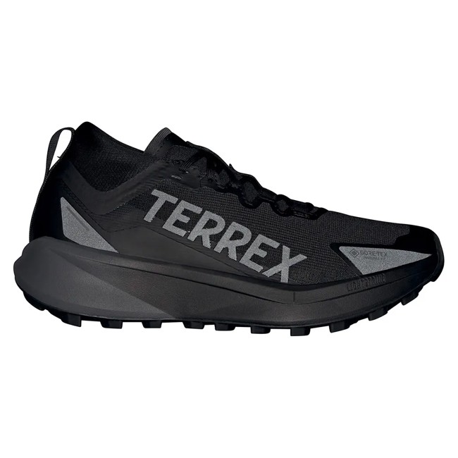 Sapatos De Caminhada Adidas Terrex Agravic Gtx Negro
