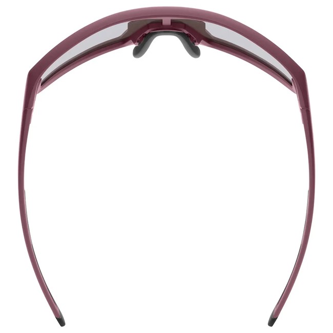 Lunettes Uvex Skyryse