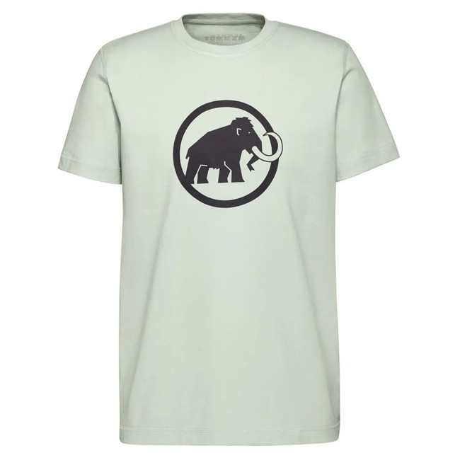Marškinėliai mammut CORE M CLASSIC Silver Sage