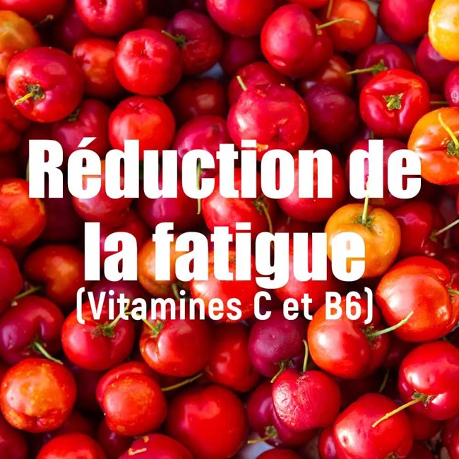 Bebida Isotónica Overstims Hydrixir Aox Multifrutas 600g 1 Ud